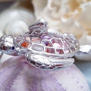 HUGE Sterling Silver Turtle Cage necklace